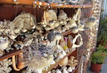 Wildlife Trade