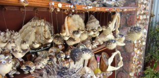 Wildlife Trade