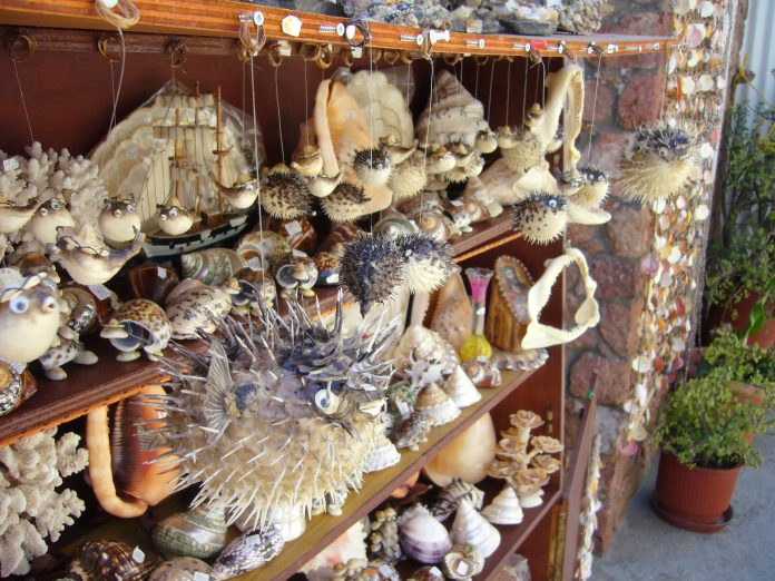 Wildlife Trade