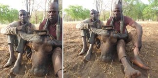 Poachers allegedly caught with Buffalo head in Yankari game reserve