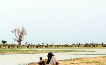 Lake Chad/ file photo