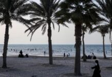 Abu Dhabi prepares for post oil economy with ecotourism development Abu Dhabi prepares for post oil economy with ecotourism development