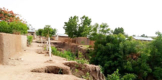 Street affected by Erosion in Jauro Musa Area, Gombe State