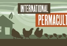 International permaculture day