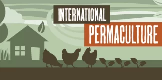 International permaculture day