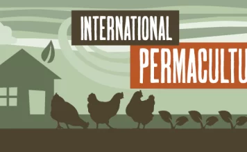 International permaculture day