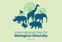 Celebrating International Day for Biological Diversity