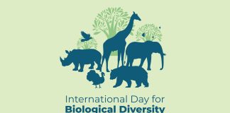 Celebrating International Day for Biological Diversity