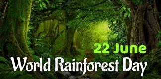 World rainforest day