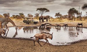 Serengeti National Park