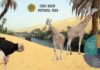 Chad Basin National Park