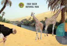 Chad Basin National Park