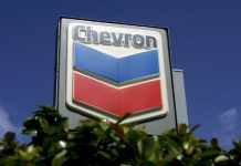 World Environment Day 2025, chevron
