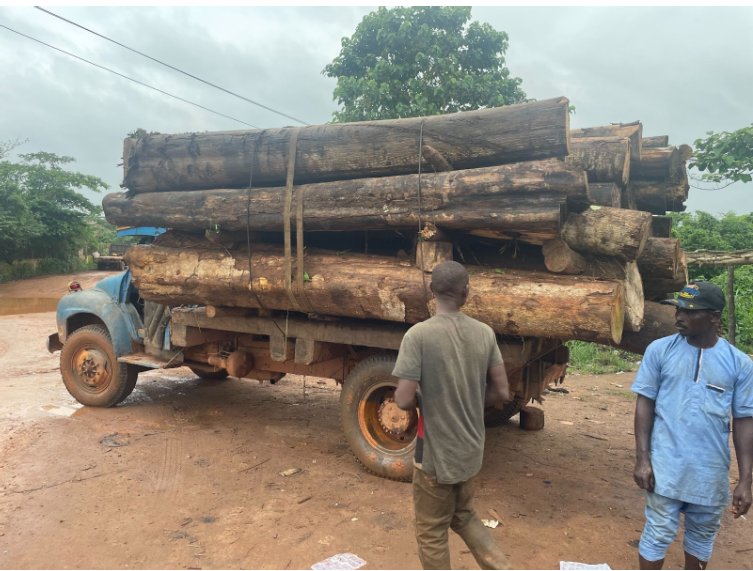 loggers in the Omo reserve