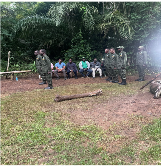Rangers in Omo 