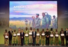African Rangers Awards: Nigerian, 49 others honoured in Accra African Rangers Awards: Nigerian, 49 others honoured in Accra