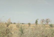 Training people to combat desertification in Nigeria Training people to combat desertification in Nigeria