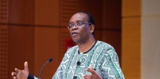 Dr Nnimmo Bassey, Executive Director of the Health of Mother Earth Foundation