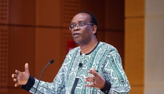 Dr Nnimmo Bassey, Executive Director of the Health of Mother Earth Foundation