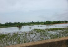Wetlands or Estates? The Land-Use Trade-Off Fuelling Nigeria’s Floods Flood plain near arepo wetlands
