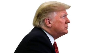US Deregulates Power Sector Emissions as EPA Repeals Clean Air Limits Donald trump