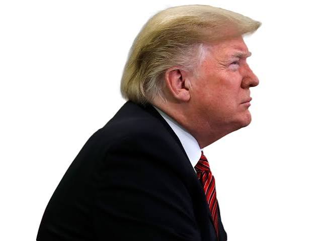 donald trump Donald trump