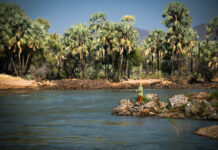 Climate-Driven Migration Drives Families Across Border into Namibia as Southern Angola Drought Worsens Cunene river which separates Namibia from Angola