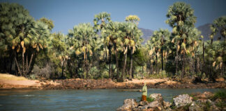 Cunene river which separates Namibia from Angola