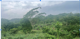 The UNEP Limiting Overshoot report warns crossing $1.5^\circ\text{C}$ is imminent, driving irreversible sea-level rise and severe ecosystem risks