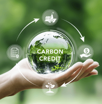 Follow The Money: Where Nigeria’s Projected Carbon Finance Would Actually Go