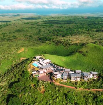Nigeria’s Eco-Lodges Face a New Test: Prove It, Don’t Just Claim It Eco Lodge